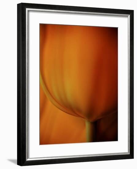 Oh So Close 3-Doug Chinnery-Framed Photographic Print