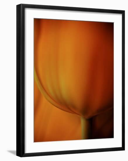 Oh So Close 3-Doug Chinnery-Framed Photographic Print