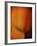 Oh So Close 3-Doug Chinnery-Framed Photographic Print