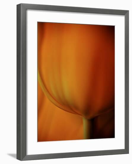 Oh So Close 3-Doug Chinnery-Framed Photographic Print