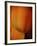 Oh So Close 3-Doug Chinnery-Framed Photographic Print