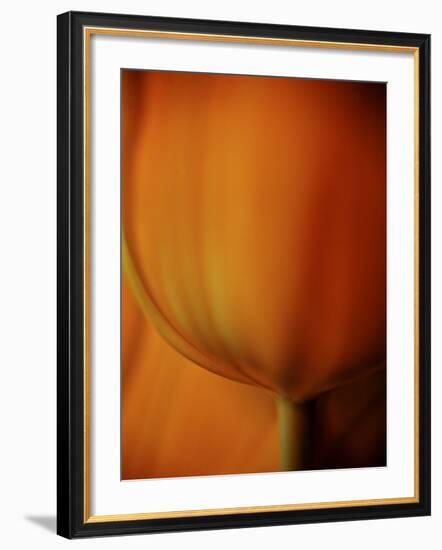 Oh So Close 3-Doug Chinnery-Framed Photographic Print