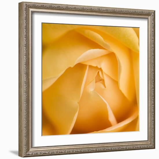 Oh So Close 5-Doug Chinnery-Framed Photographic Print