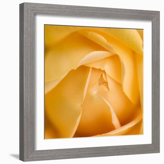Oh So Close 5-Doug Chinnery-Framed Photographic Print