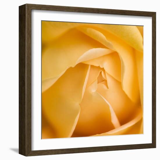 Oh So Close 5-Doug Chinnery-Framed Photographic Print