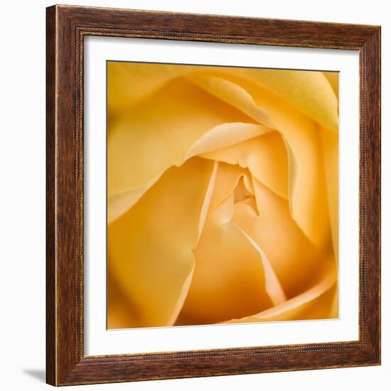 Oh So Close 5-Doug Chinnery-Framed Photographic Print