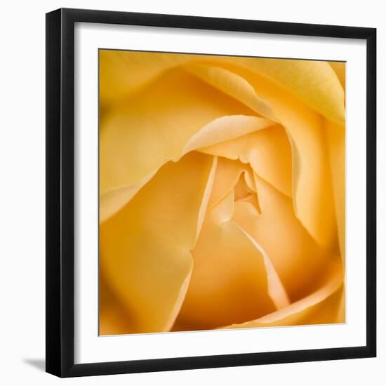 Oh So Close 5-Doug Chinnery-Framed Photographic Print