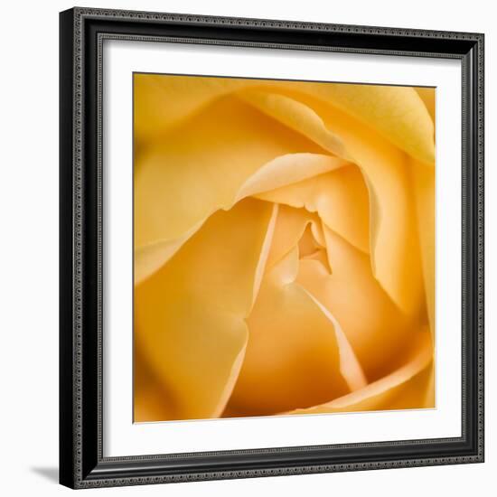 Oh So Close 5-Doug Chinnery-Framed Photographic Print