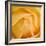 Oh So Close 5-Doug Chinnery-Framed Photographic Print