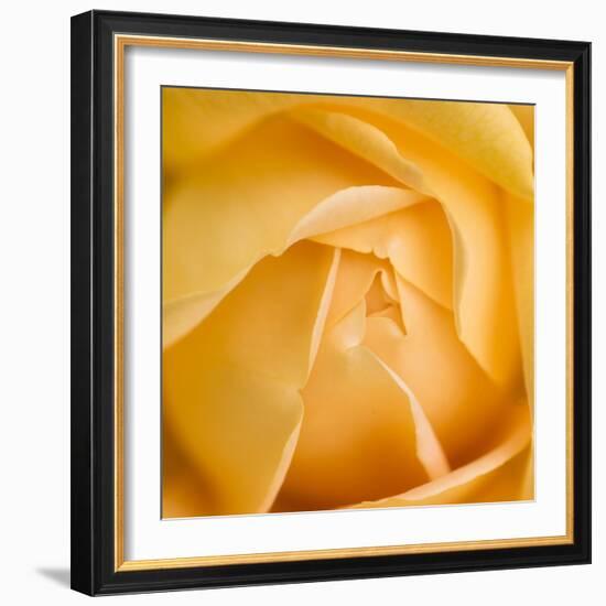 Oh So Close 5-Doug Chinnery-Framed Photographic Print