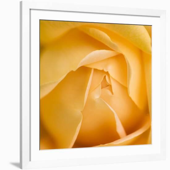 Oh So Close 5-Doug Chinnery-Framed Photographic Print