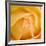 Oh So Close 5-Doug Chinnery-Framed Photographic Print