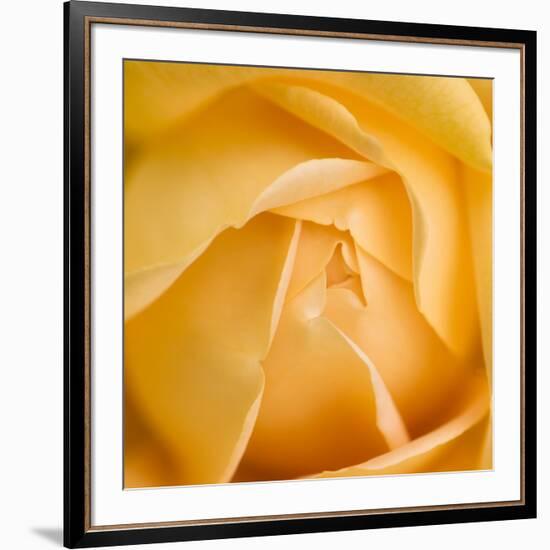 Oh So Close 5-Doug Chinnery-Framed Photographic Print