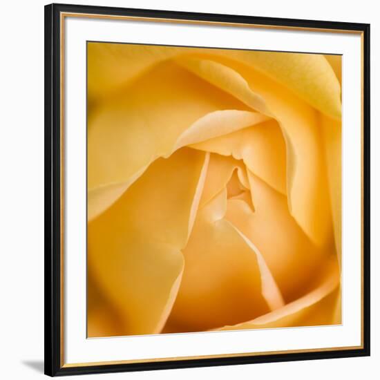 Oh So Close 5-Doug Chinnery-Framed Photographic Print