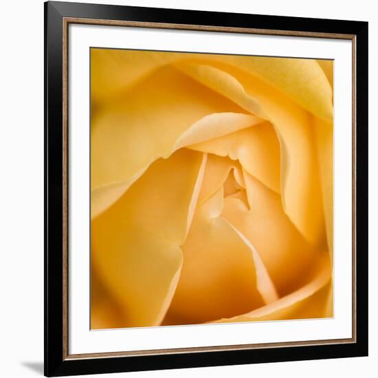 Oh So Close 5-Doug Chinnery-Framed Photographic Print