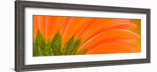 Oh So Close 8-Doug Chinnery-Framed Photographic Print