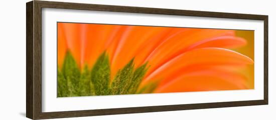 Oh So Close 8-Doug Chinnery-Framed Photographic Print