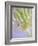 Oh So Gentle-Doug Chinnery-Framed Photographic Print