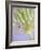 Oh So Gentle-Doug Chinnery-Framed Photographic Print