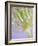 Oh So Gentle-Doug Chinnery-Framed Photographic Print