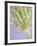 Oh So Gentle-Doug Chinnery-Framed Photographic Print