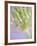 Oh So Gentle-Doug Chinnery-Framed Photographic Print