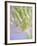 Oh So Gentle-Doug Chinnery-Framed Photographic Print