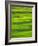 Oh So Green-Doug Chinnery-Framed Photographic Print