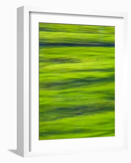 Oh So Green-Doug Chinnery-Framed Photographic Print