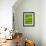 Oh So Green-Doug Chinnery-Framed Photographic Print displayed on a wall