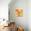 Oh So Pretty - Orange 2-Jan Weiss-Premium Giclee Print displayed on a wall