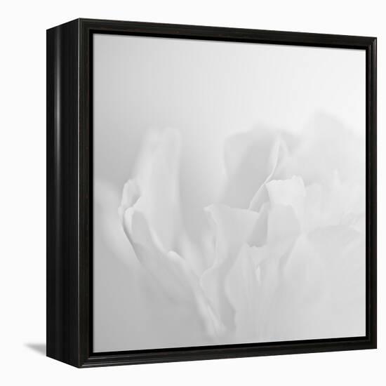 Oh So White-Doug Chinnery-Framed Premier Image Canvas