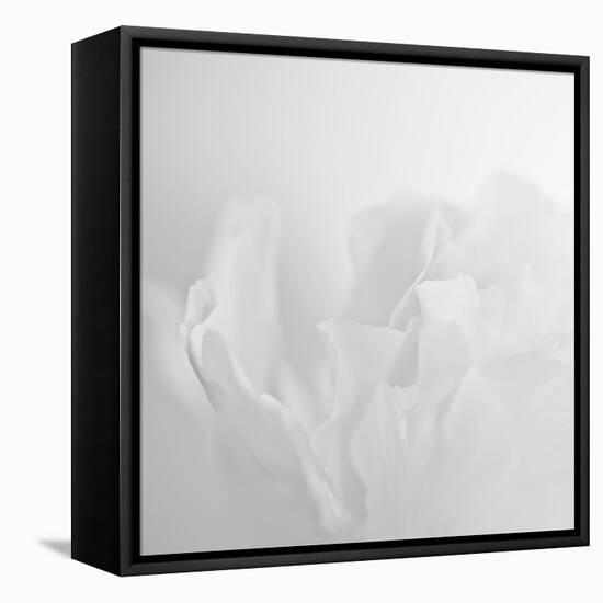 Oh So White-Doug Chinnery-Framed Premier Image Canvas
