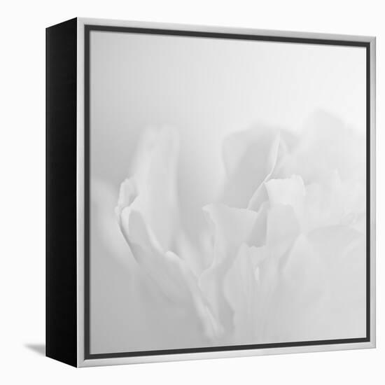 Oh So White-Doug Chinnery-Framed Premier Image Canvas