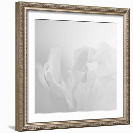 Oh So White-Doug Chinnery-Framed Photographic Print