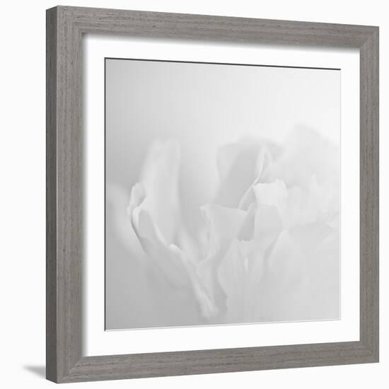 Oh So White-Doug Chinnery-Framed Photographic Print