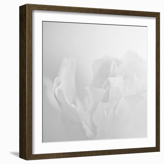 Oh So White-Doug Chinnery-Framed Photographic Print