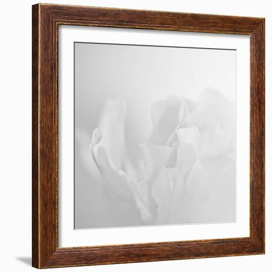 Oh So White-Doug Chinnery-Framed Photographic Print