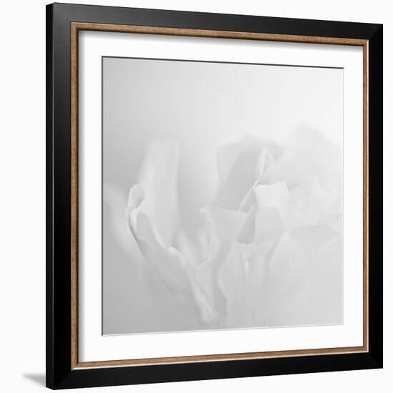 Oh So White-Doug Chinnery-Framed Photographic Print