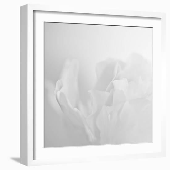 Oh So White-Doug Chinnery-Framed Photographic Print