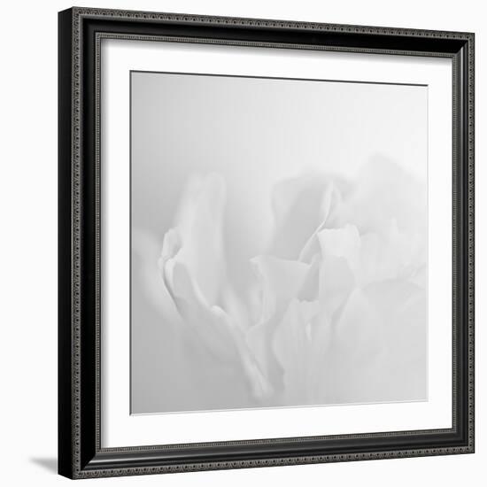 Oh So White-Doug Chinnery-Framed Photographic Print