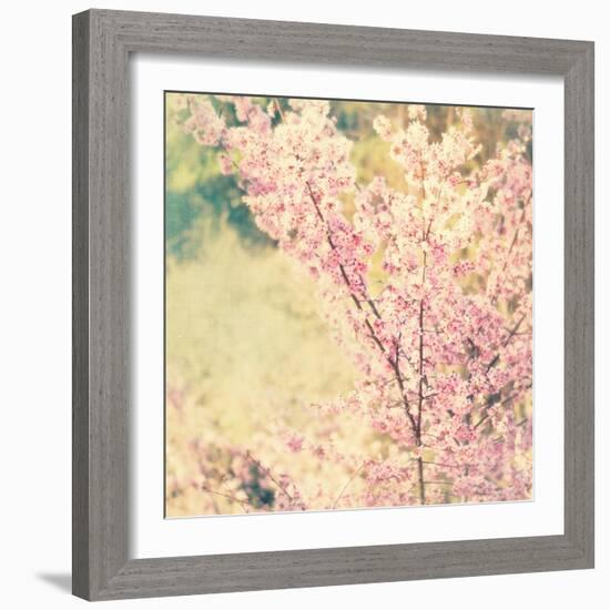Oh To Be a Bumblebee No. 2-Myan Soffia-Framed Photographic Print