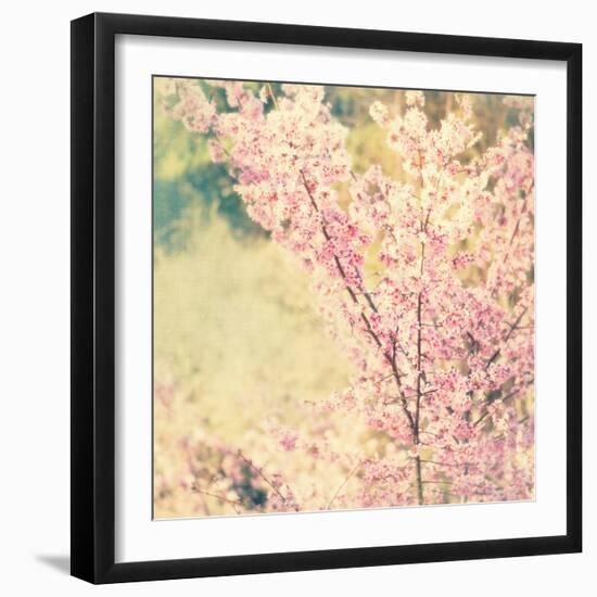 Oh To Be a Bumblebee No. 2-Myan Soffia-Framed Photographic Print