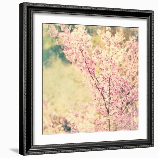 Oh To Be a Bumblebee No. 2-Myan Soffia-Framed Photographic Print