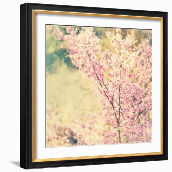 Oh To Be a Bumblebee No. 2-Myan Soffia-Framed Photographic Print