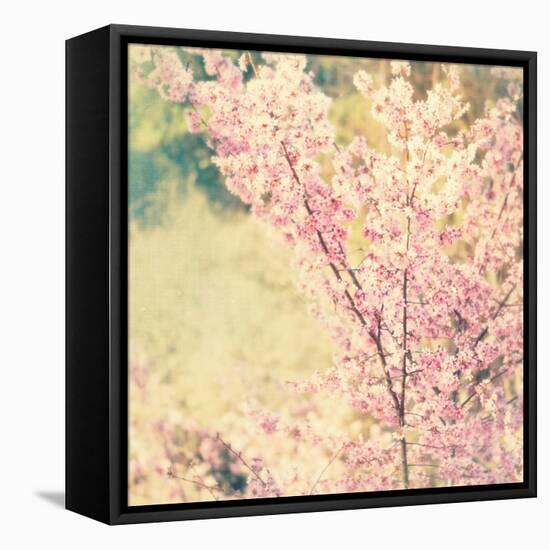 Oh To Be a Bumblebee No. 2-Myan Soffia-Framed Stretched Canvas