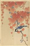 Great Tit on Paulownia Branch, 1925-36-Ohara Koson-Art Print