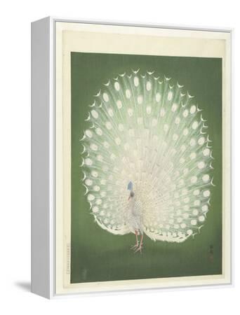 版画 peco pocon Ohara Koson Japanese Woodblock Print - Peacock and Peahen