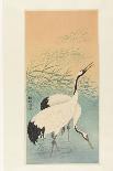 Japanese Crane on Pine Branch, 1900-30-Ohara Koson-Art Print