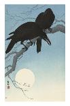 Japanese Crane on Pine Branch, 1900-30-Ohara Koson-Stretched Canvas